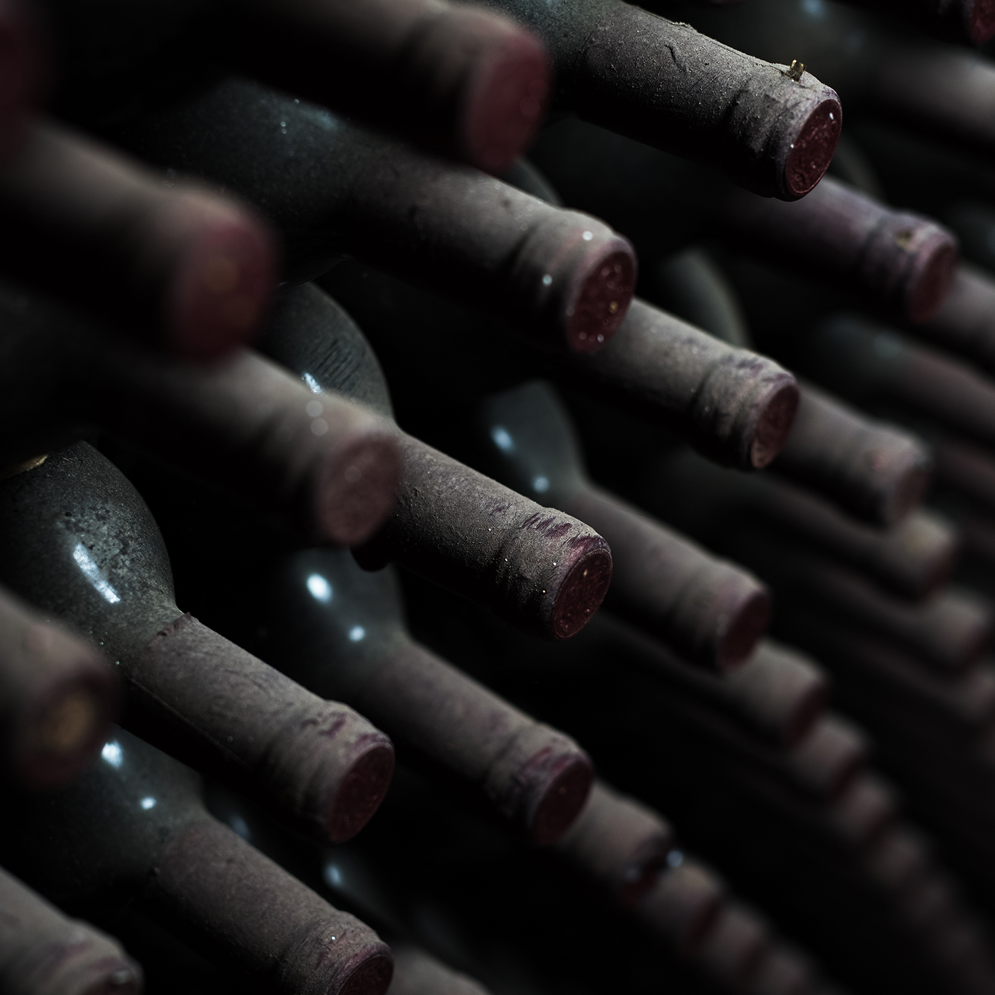 Staubige Weinflaschen in einem Weinregal